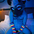 IMG_3256.png